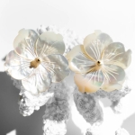 Σκουλαρικια Psoma  λευκό λουλούδι - Image 2